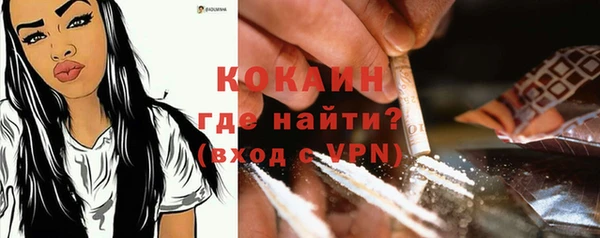 PSILOCYBIN Усмань