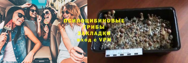 PSILOCYBIN Усмань