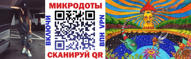 ОМГ ОМГ ссылка  купить наркотики сайты  Няндома  Галлюциногенные грибы MAGIC MUSHROOMS 